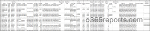 Entra ID devices report sample output